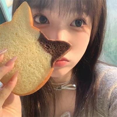 鹰巢之预备警官